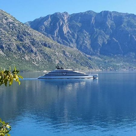 Apartament Magnolia Adriatic Kotor Zewnętrze zdjęcie