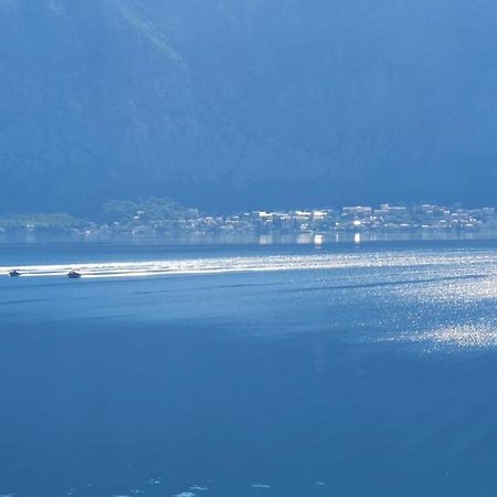 Apartament Magnolia Adriatic Kotor Zewnętrze zdjęcie