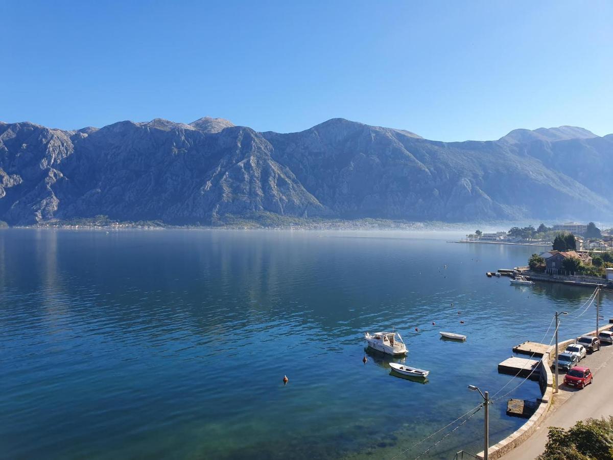 Apartament Magnolia Adriatic Kotor Zewnętrze zdjęcie