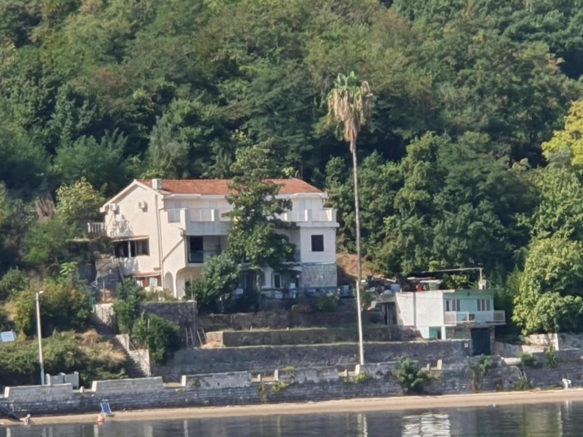 Apartament Magnolia Adriatic Kotor Zewnętrze zdjęcie