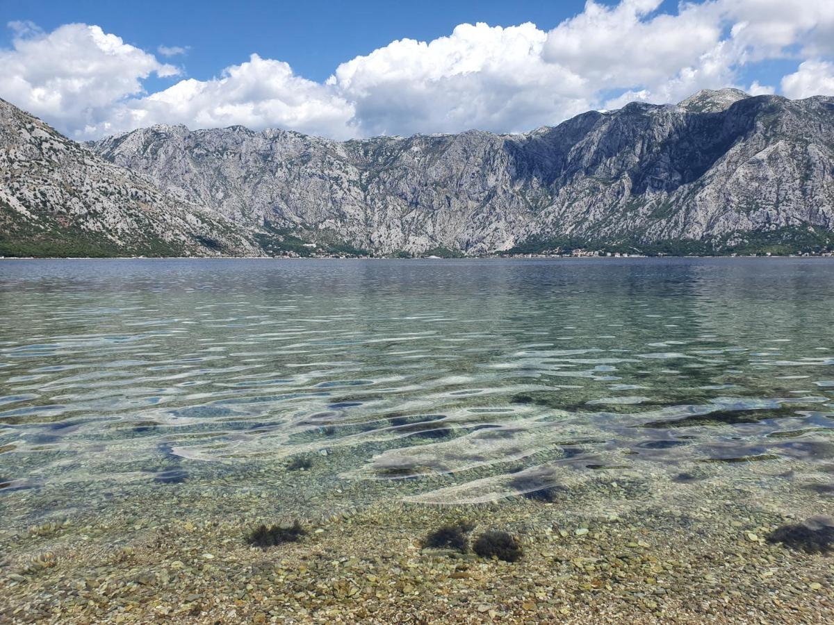 Apartament Magnolia Adriatic Kotor Zewnętrze zdjęcie