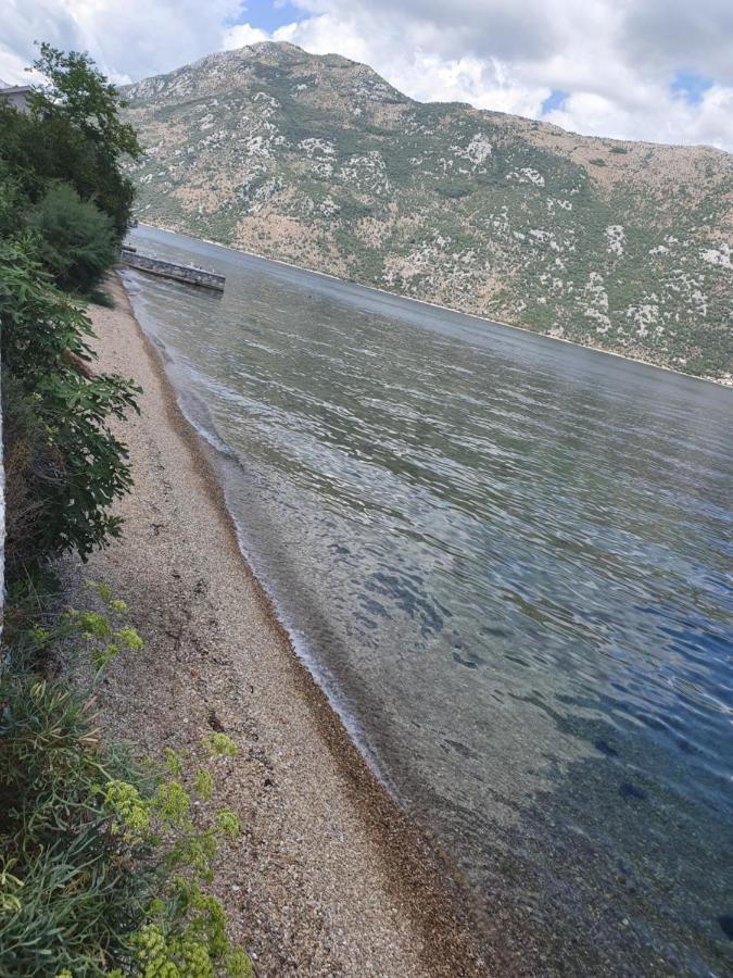 Apartament Magnolia Adriatic Kotor Zewnętrze zdjęcie