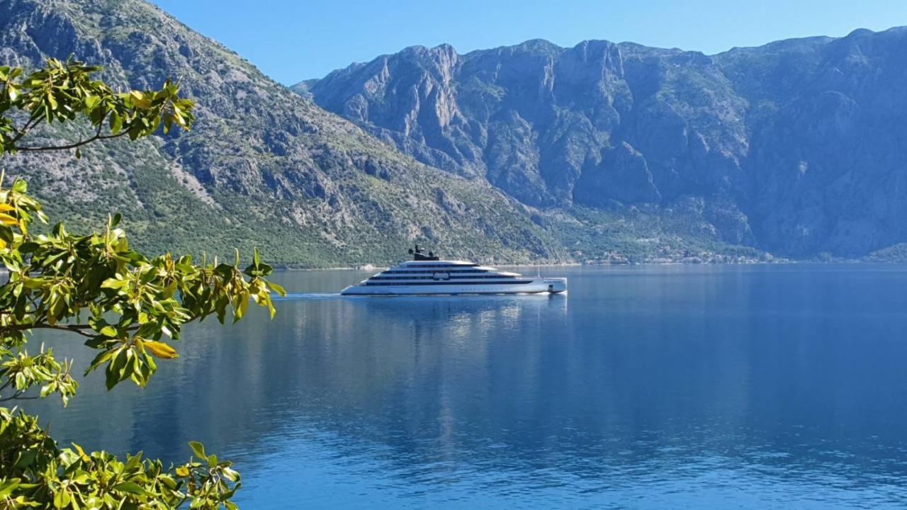 Apartament Magnolia Adriatic Kotor Zewnętrze zdjęcie