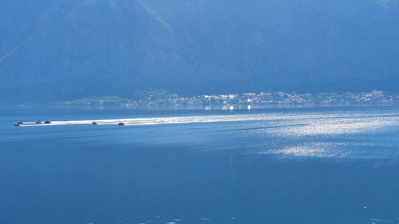 Apartament Magnolia Adriatic Kotor Zewnętrze zdjęcie