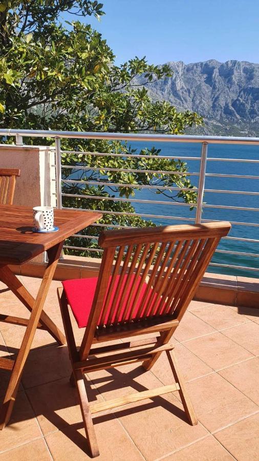 Apartament Magnolia Adriatic Kotor Zewnętrze zdjęcie